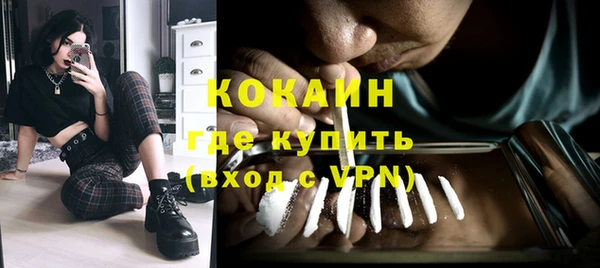 тгк Абаза