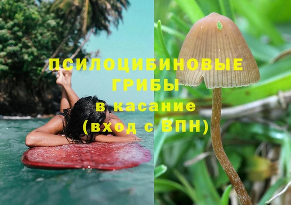 гашик Абдулино