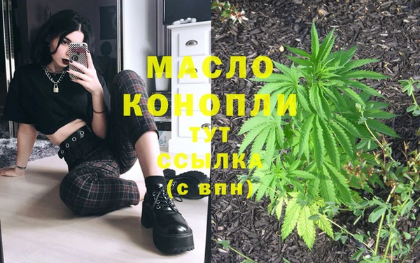 тгк Абаза