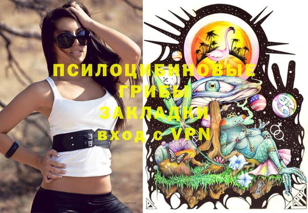 гашик Абдулино
