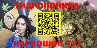 mdma Новодвинск