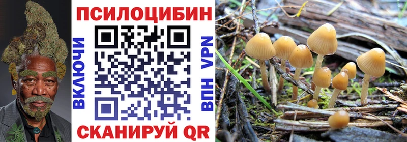 купить  цена  Удомля  Галлюциногенные грибы Psilocybe 