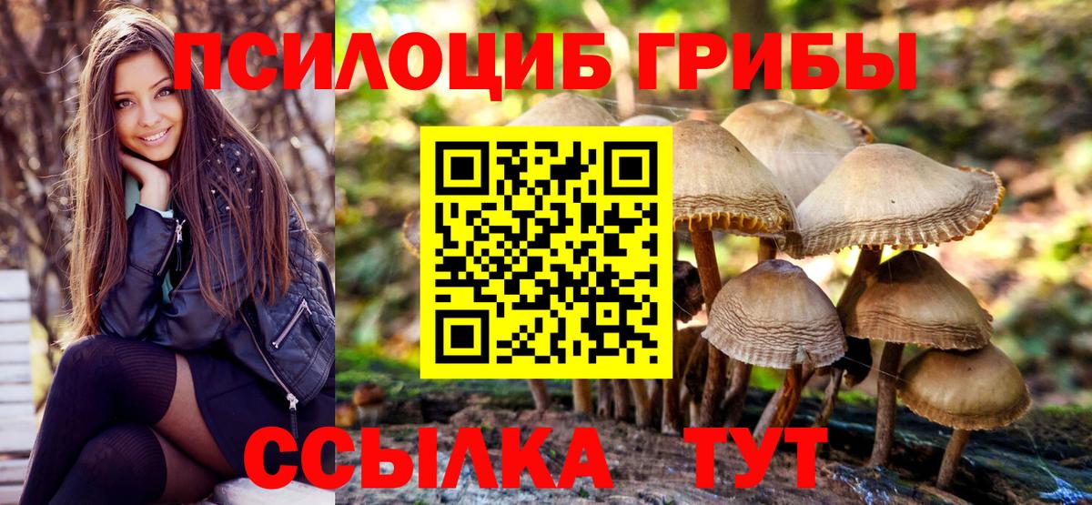 Удомля  Псилоцибиновые грибы ЛСД  Вход с VPN 
