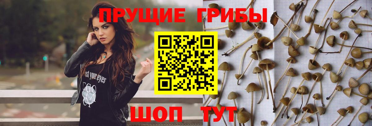 Псилоцибиновые грибы мухоморы Удомля
